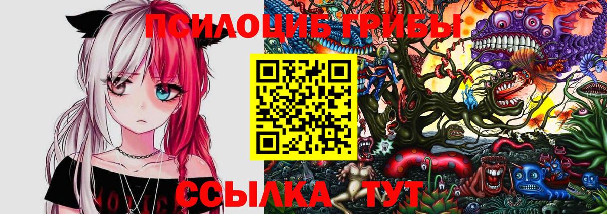 Рузаевка  Галлюциногенные грибы мицелий  Вход с VPN 